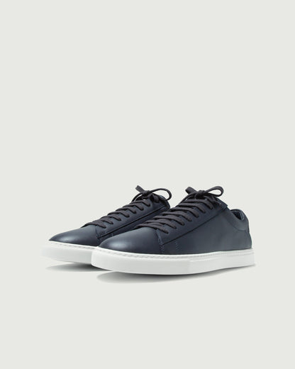 Low 1 | Royal (Orthopedic)